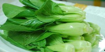 吃瓜叶菜
